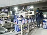 Automatic Bagging Machine