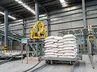 Automatic Palletizer (Palletizing Robot)